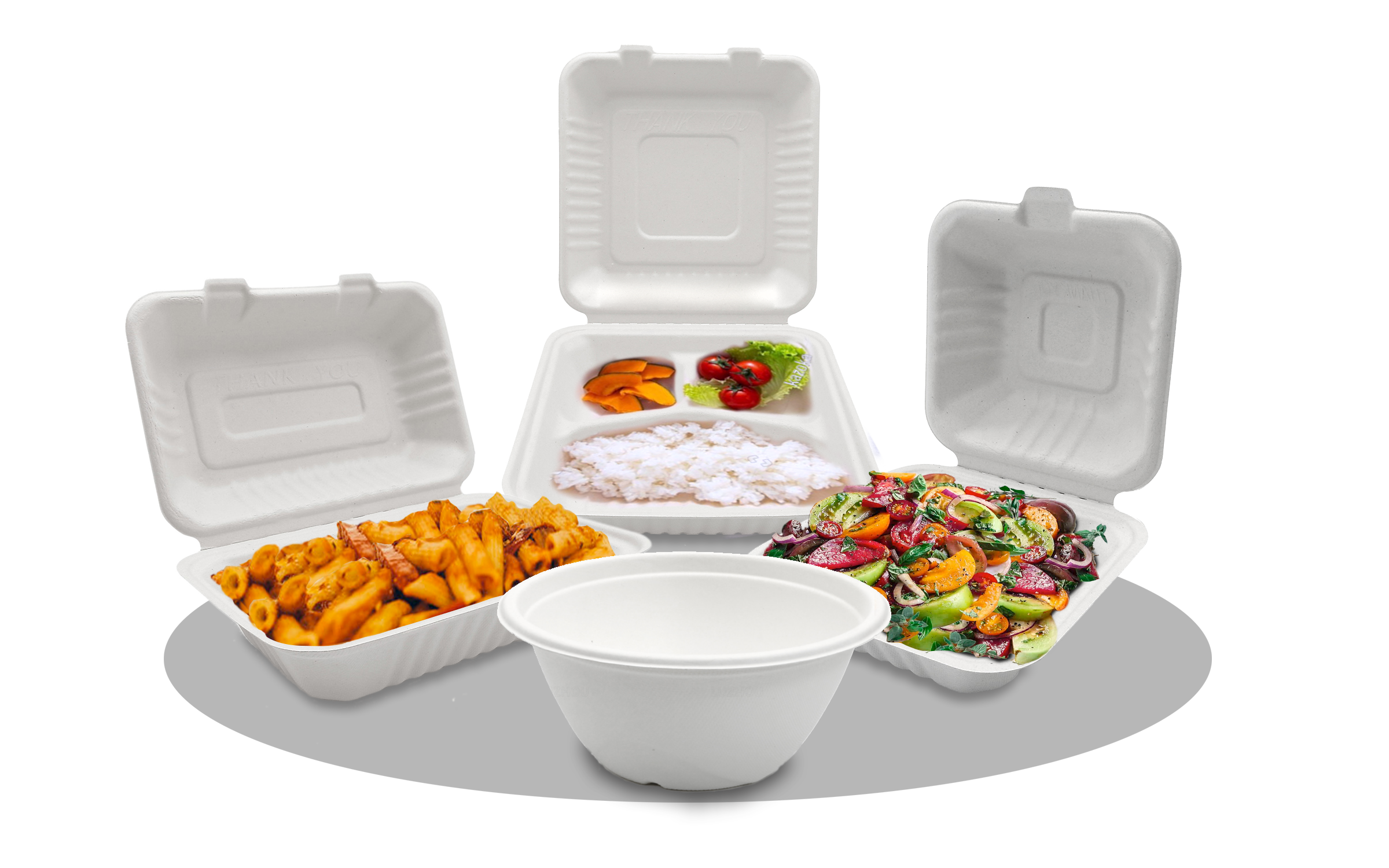 Bagasse Containers